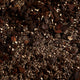 Our soil - Palm