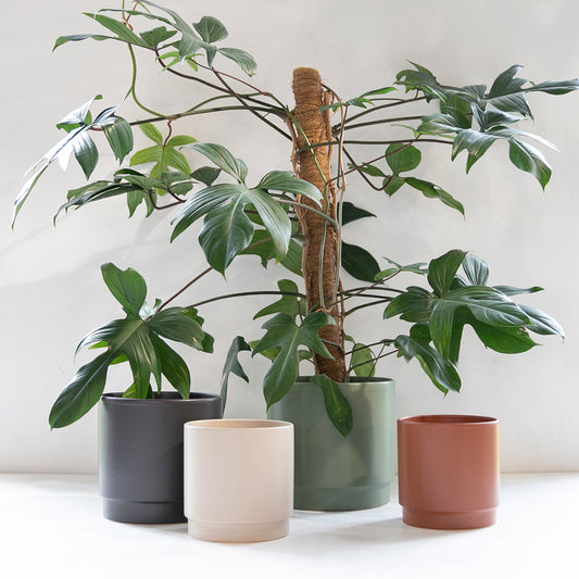 Obal na květináč Sense Matt  Šedá