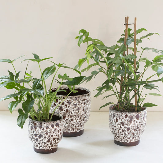 Obal na květináč Strut