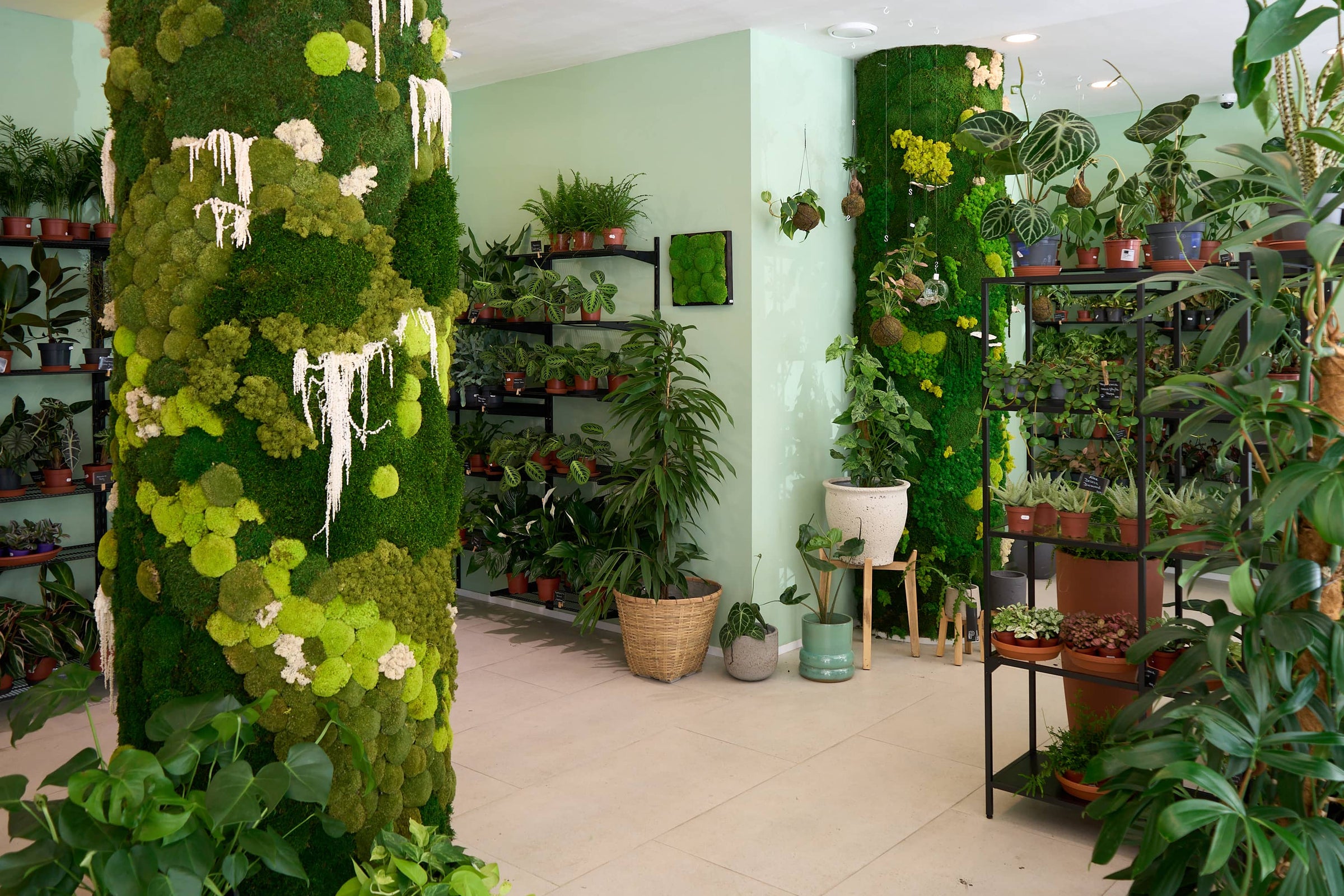 Interiér prodejny Dej mi pokojovku