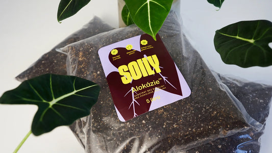 SOILY ALOKÁZIE™ - Substrát bez rašeliny