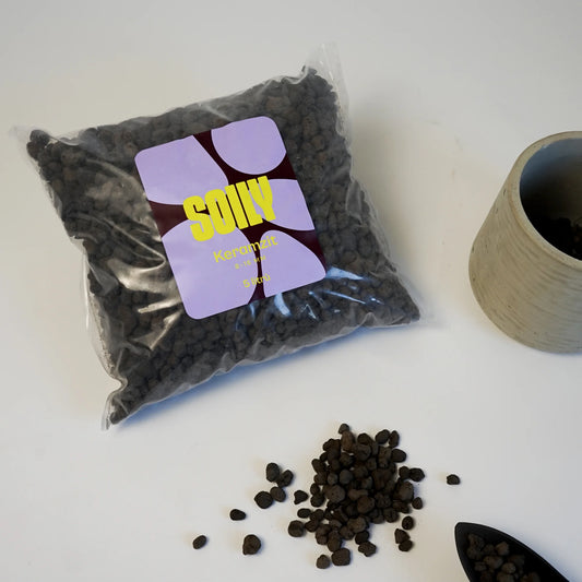 SOILY KERAMZIT 8-16 mm