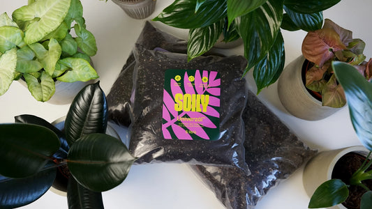 SOILY UNIVERZÁL™ - Substrát bez rašeliny pro pokojové rostliny