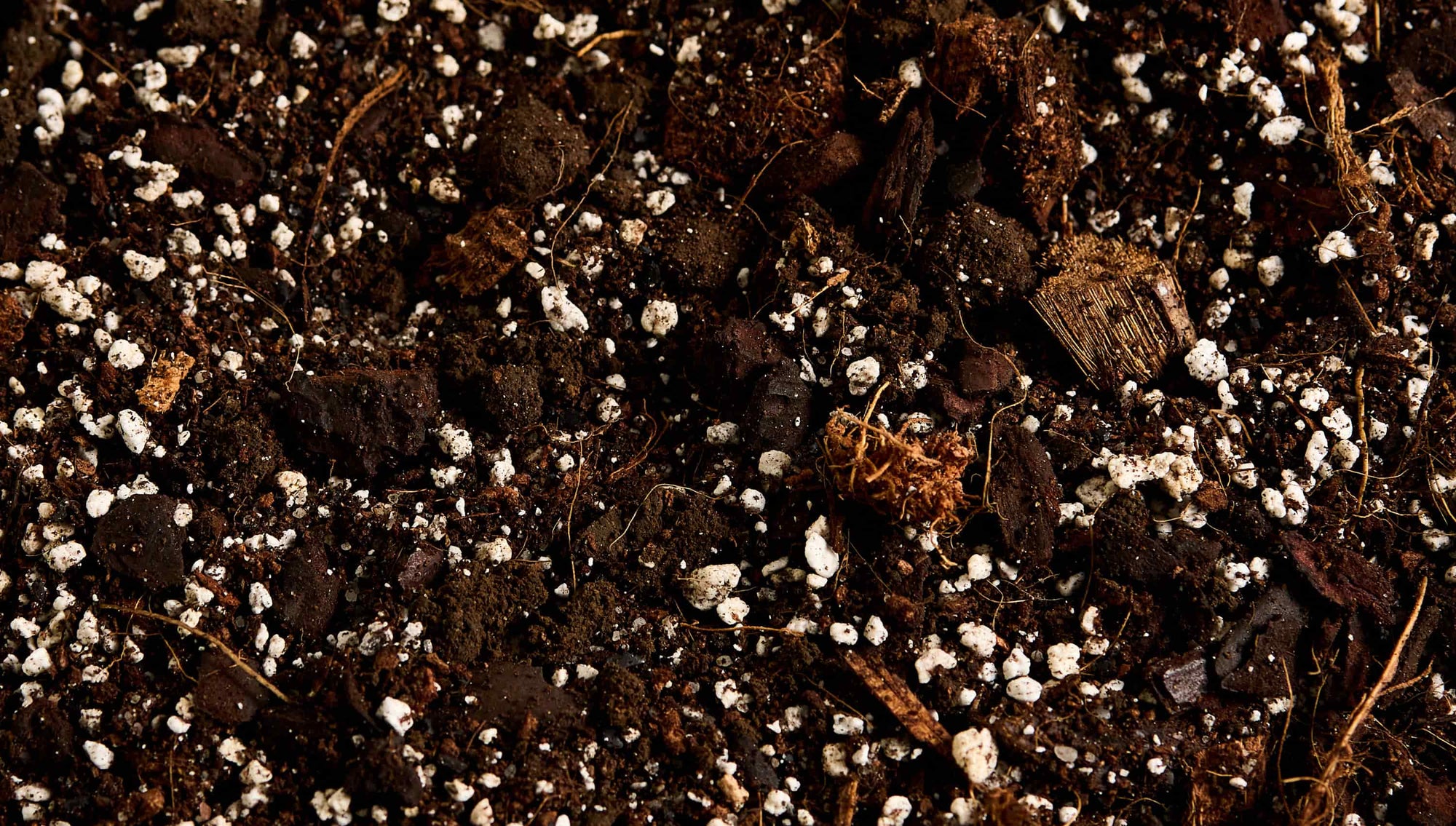 Inspirace na dárek z Dej mi pokojovku