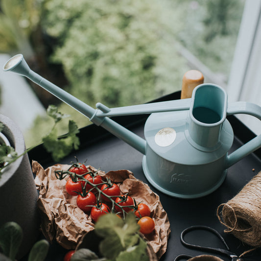 HAWS The Langley Sprinkler Duck Egg Blue konev - 0,56l