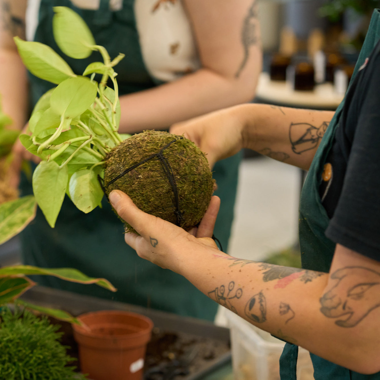 Workshop: Výroba kokedamy