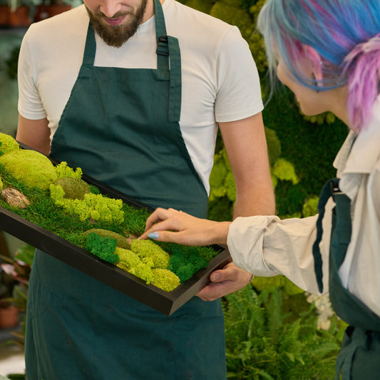 Workshop: Výroba mechového obrazu
