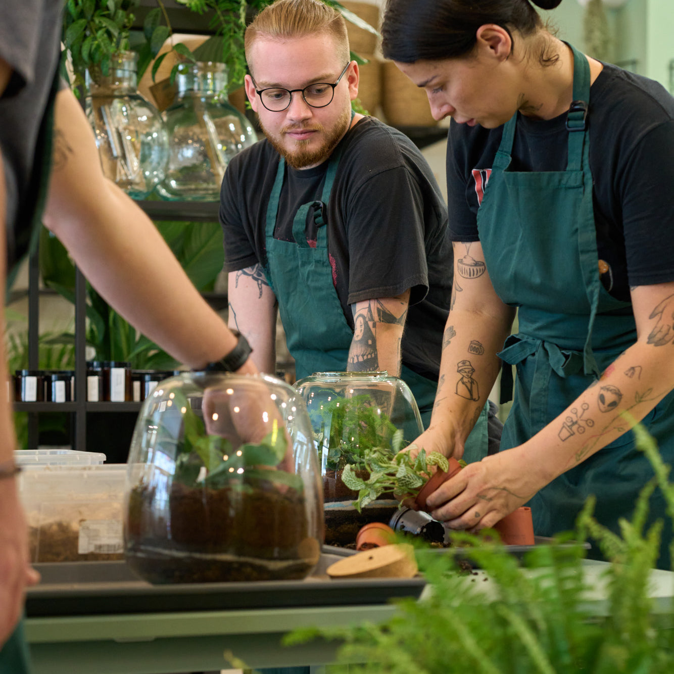 Workshop: Rostlinná terária