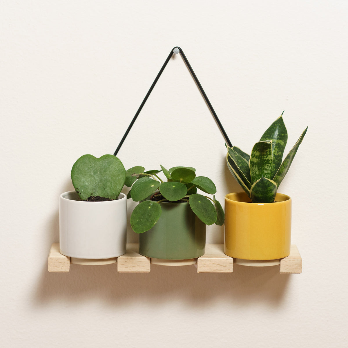 Eno mini flower pot holder