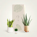 Plant Subscription - Succulents