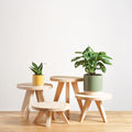 Stool for plants