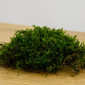 Stabilized flat dark moss
