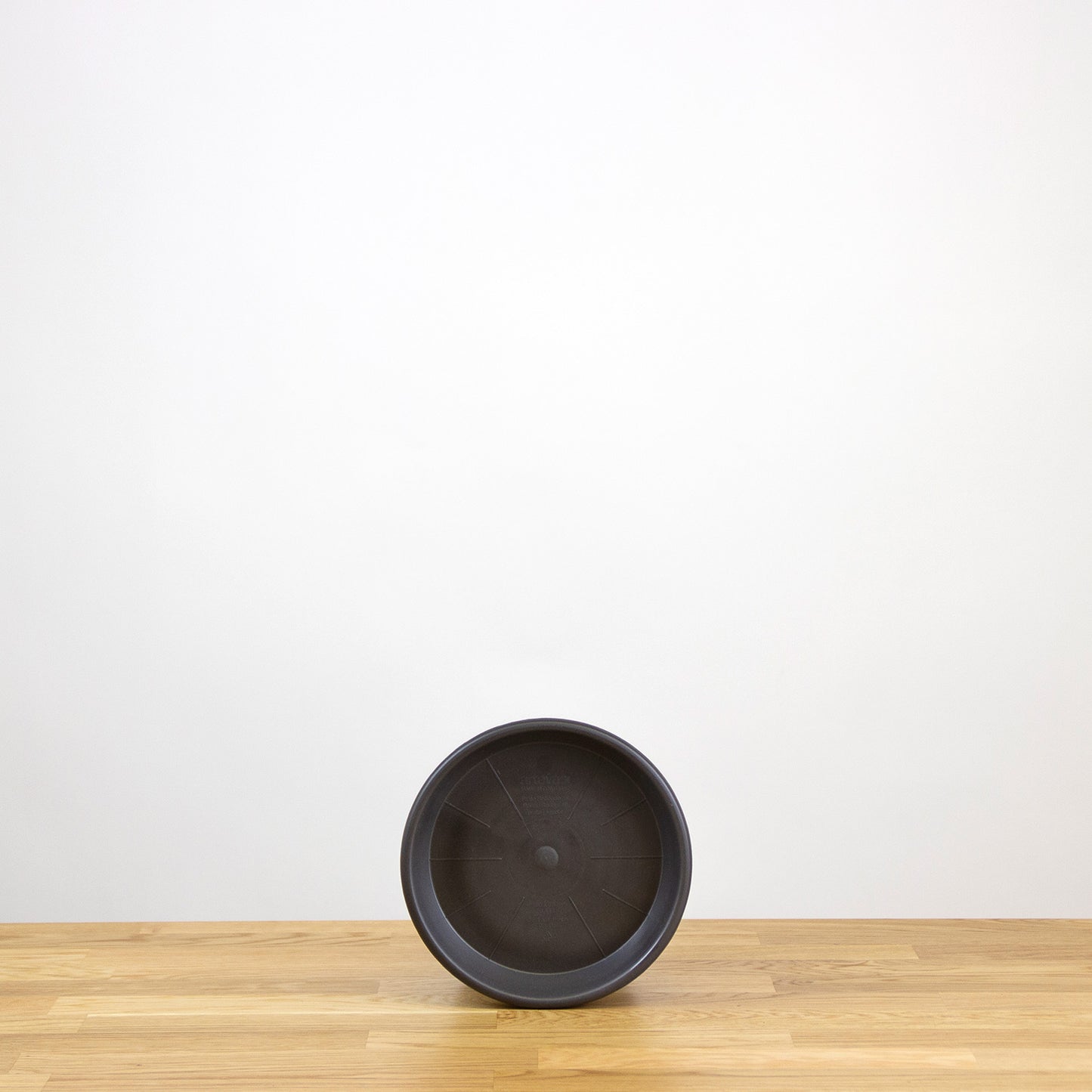 Plastová podmiska Madagascar