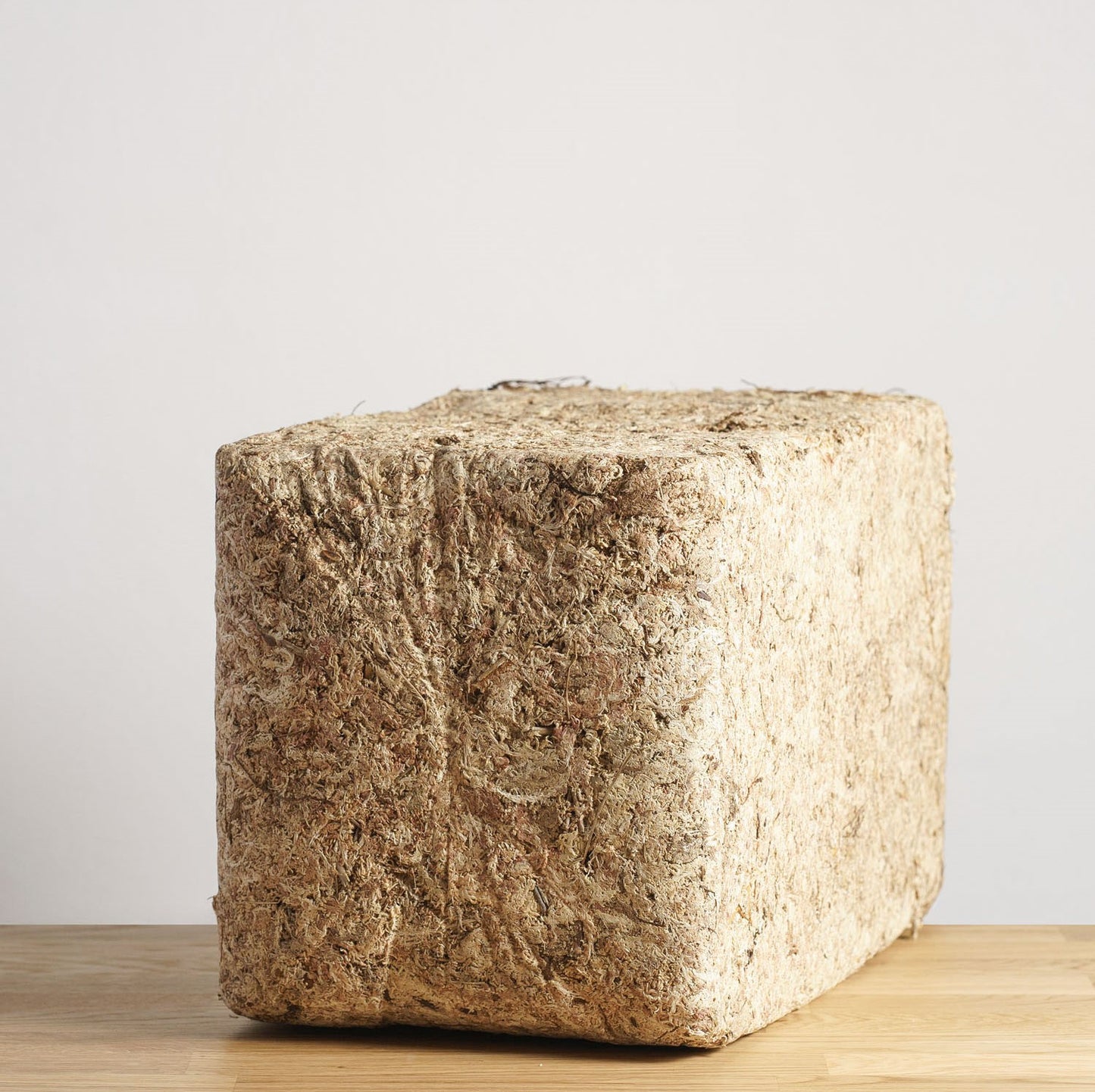 Sphagnum - Rašeliník