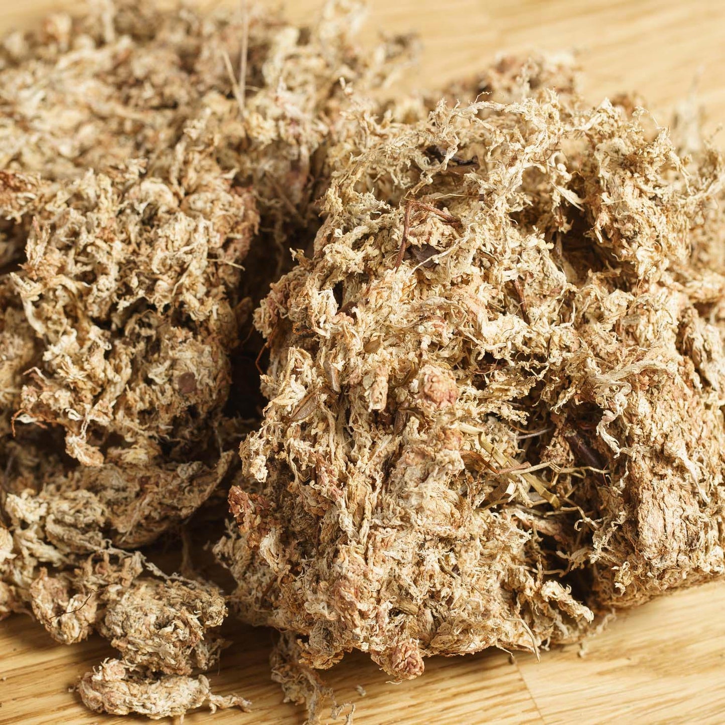 Sphagnum - Rašeliník