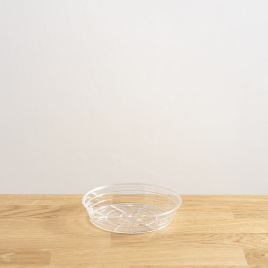 Transparentní podmiska