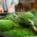 Workshop: Production of a moss painting