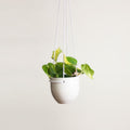 Ferry planter cover - Hanging
